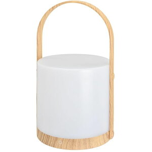 LEDe[uvyؖڒzi3iK/^b`XCb`/USB[d Type-C/140 lm/dFj OHM TT-Y102K