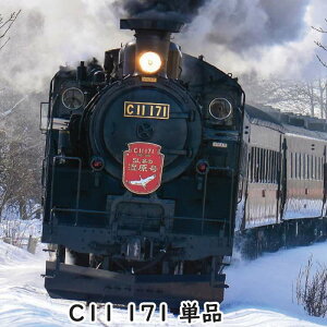 yEzszNQ[W C11 171 SL C@֎ SL~̎ S͌^ KATO 2021-1