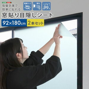 ykCEEzszyszzՌʂŊȒPɓ\I \ډBV[g 92×180cm2{Zbg z[eCXg SH-25-MREV-SET--CL