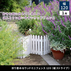 ykCEEzszysz܂߂Ebh~jtFX 1g O[ Z܂X^C WF-120F-GRY