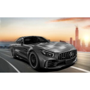 hCcx 1/43 ZfXxc AMG GTR O[ vf nZK 4009803231525