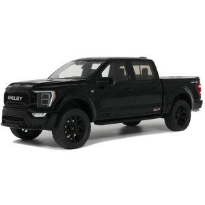 yEzszGT SPIRIT 1/18 VFr[ F-150 ZejA GfBV 2024 (ubN)  GTS919