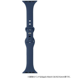 Apple Watch 42(Series 1,2,3)/44/45/46/49mm �o���h �uCORVIN�v �X�����V���R���o���h �l�C�r�[ LEPLUS NEXT LN-AW49B01NV
