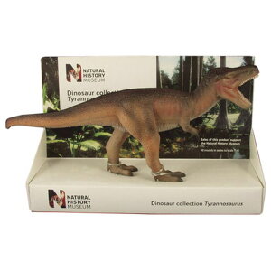 |Pbg{h 1/40 pRj eBmTEX 26cm ۖf 29100