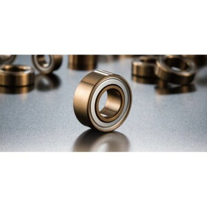 X10 BALL BEARING SET for BD8 2018 �A�N�\�� BS-PG-Y001