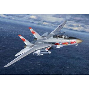 hCcx 1/144 O} F-14A gLbg nZK 03782