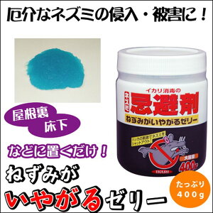 ˂݂₪[[ xmpbNX h865