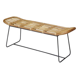 ykCEEzszyszx` 121cm ^ ACAr wꖳ | ֎q _CjO H ֎q x_ oRj[ K[f J TTF-923