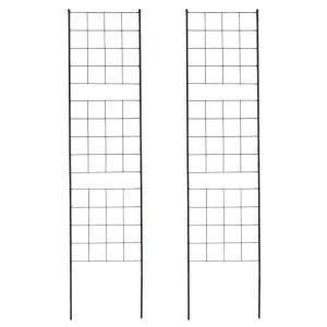 ykCEEzszyszACAtFX 176cm X 2g X`[ iq O[tFX [YtFX  K[fjO Ԓd KN d؂ ډB h O