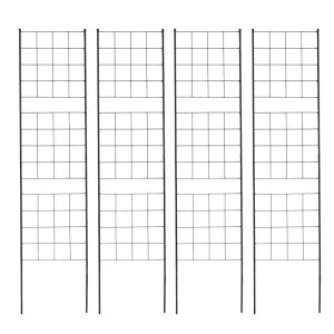 ykCEEzszyszACAtFX 176cm X 4g X`[ iq O[tFX [YtFX  K[fjO Ԓd KN d؂ ډB h O