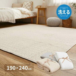 ykCEEzszysz100̃CuO}bg 190×240cm LgO ~ߕt \t@Jo[ xbhJo[ ؍CeA oYj v[g 蕨 fR