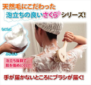 肪͂ȂƂɃuV͂Inт̃{fBuV  A[guV b581