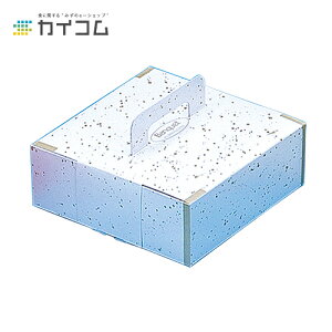 IWiP[X(A~Mt)oPbg6 TCY : 220×220×80mm  : 100