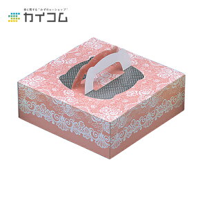 Kg[P[X uAg(A~Mt)6 TCY : 220×220×80mm  : 100