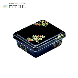 yeEٓzB-4(݂){ TCY : 160×123×44mm  : 700