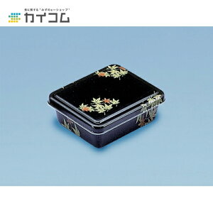 yeEٓzB-4(݂)pt^ TCY : 166×128×16mm  : 700