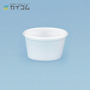 TM-101(��) �T�C�Y : ��88×50mm(160cc) ���� : 2000 ���{�̂̂�