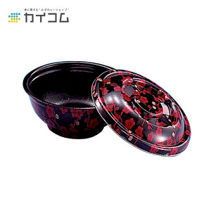 yeEٓzD-1(Ԕ~){ TCY : 164×72mm  : 500