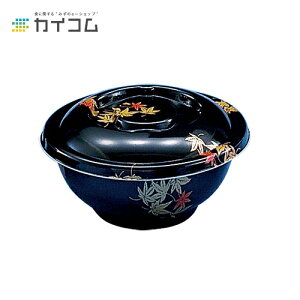 yeEٓzD-1(݂){ TCY : 164×72mm  : 500