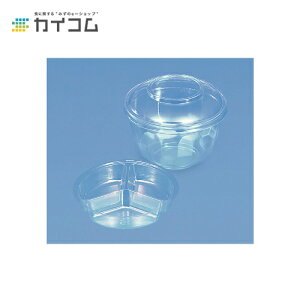 ^100ӎOd(PET) TCY : 100×20mm  : 3000 M̂