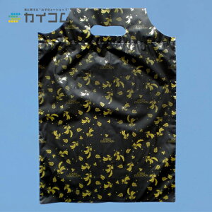 TChobO(SS) GR[t TCY : 0.03×250×350  : 500