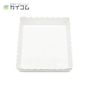 pg[g^()  TCY : 255×170×33mm  : 100