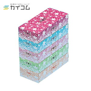 POP �e�B�V�� 200W �T�C�Y : 5���� ���� : 1