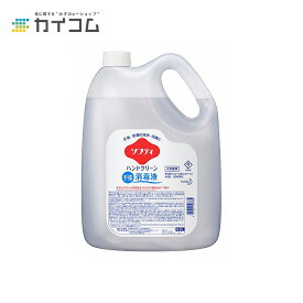 ソフティ ハンドクリーン手指消毒液 4.5L 業務用 サイズ : 4.5L 入数 : 1