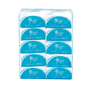 BERpNgeBbV 180W (10) TCY : 100×210mm  : 1 | eBbV eBbVy[p[ Ɩp n[teBbV rB 莆 肪 eBbV eBV[ e 