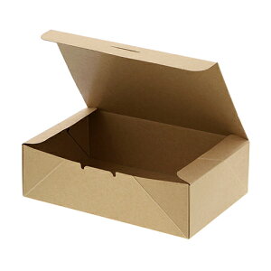 HEIKO lINtg RpNg{bNX L 200 Hie TCY : 200mm×130mm×60mm  : 200`{bNX `BOX `P[X ٓ ĝ Ɩp fo[  W[ 