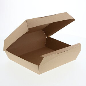 HEIKO lINtg `{bNX L 120 Hie TCY :V245×210/220×185/85mm  : 120`{bNX `BOX `P[X ٓ ĝ Ɩp fo[ W[  