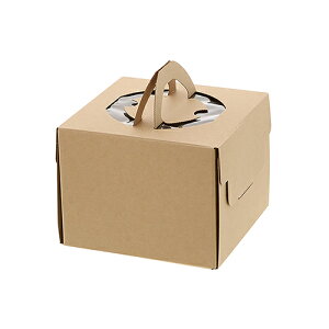 HEIKO ApP[L{bNX4p 100 lINtg L[fRBOX STCY TCY :150×152×115mm  : 100P[L{bNX P[LBOX P[L P[LA Ntg{bNX 