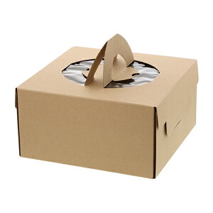 HEIKO ApP[L{bNX6p 100 lINtg L[fRBOX L TCY TCY :220×222×115mm  : 100P[L{bNX P[LBOX P[L P[LA Ntg{bNX 