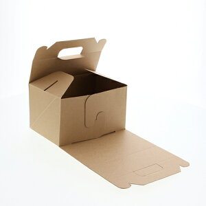 HEIKO ApP[L{bNX 100 4`5p lINtg L[{bNX M TCY TCY :120×180×105mm ̍F50mm  : 100P[L{bNX P[LBOX P[L P[L