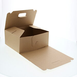 HEIKO ApP[L{bNX 200 8`9p lINtg L[{bNX LL TCY TCY :190×240×105mm@̍F50mm  : 200P[L{bNX P[LBOX P[L P[L