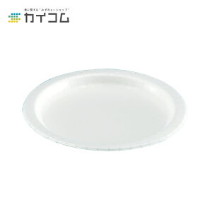 Egv[g No.11(U-11R) TCY : 260mm  : 600 dqWΉ | M ĝĎM y[p[v[g ĝ ێM  ĝėe e ܂Ƃߔ e AEghA H v[g 