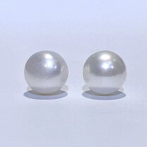 楽天市場】南洋 白 蝶 真珠 ピアス 12ミリの通販