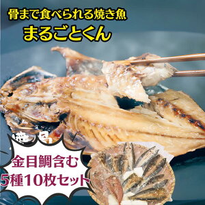 [r[ŃN[|]y10Zbgz܂邲Ƃ@5×2 10Zbg