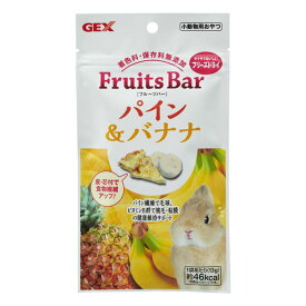 （まとめ）フルーツバー パイン＆バナナ 13g ハムスターフード 【×5セット】【代引不可】