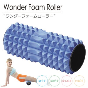 _[tH[[[ ؖ[Xiؖ͂j[[ GNTTCY Xgb`