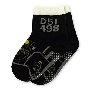 SiĂサjxr[O D51 498 iSLEC@֎ԁj LbY\bNX