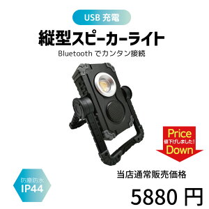 yŋzΉz COB LED nfBCg IP44 [NCg BluetoothXs[J[ USB[d  Ɠ AEghA Lv ނ h nk