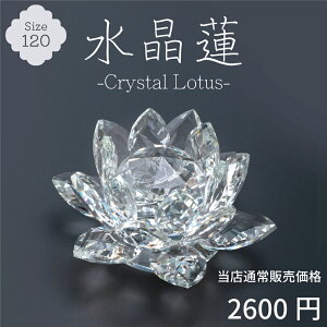 yŋzΉz@ 120 NX^ [^X KX  u IuWF CeA TLb`[   q[O  J^ Mtg v[g(120mm) FD NX^r[Y