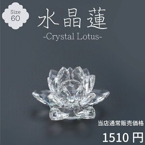 yŋzΉz@ 60 NX^ [^X KX  u IuWF CeA TLb`[   q[O  J^ Mtg v[g(60mm) FD NX^r[Y