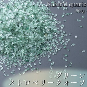 yŋzΉzVR  O[Xgx[NH[c p[Xg[ VR r[Y  q[O   Xs`A J^ CeA Mtg v[g (500g) d 