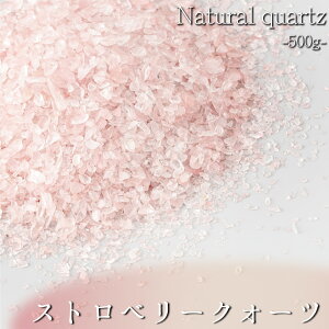 yŋzΉzVR  Xgx[NH[c p[Xg[ VR r[Y  q[O   Xs`A J^ CeA Mtg v[g (500g) d  N