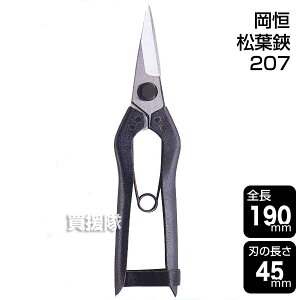 P ti|p͂݁j No.207 y ߁z [CB99]