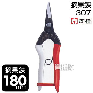 P Ei|p͂݁j No.307 y ߁z [CB99]