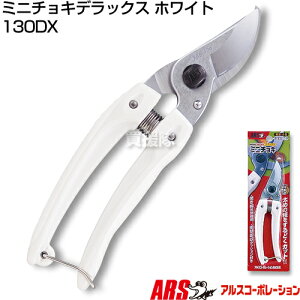 AXR[|[V ~j`LfbNX zCg 130DX yAX 130DX ~j`L zCg nT~  ͂  y s SXgbp[ ƒ؉ K[fjO | n  A