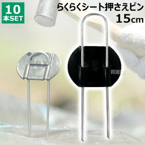 rj[ 炭炭V[gs 15cm i10{j yDAIM s V[g V[gs }` }`V[g |pi ƒ؉ _Ǝ Œ Gh~V[g G΍z